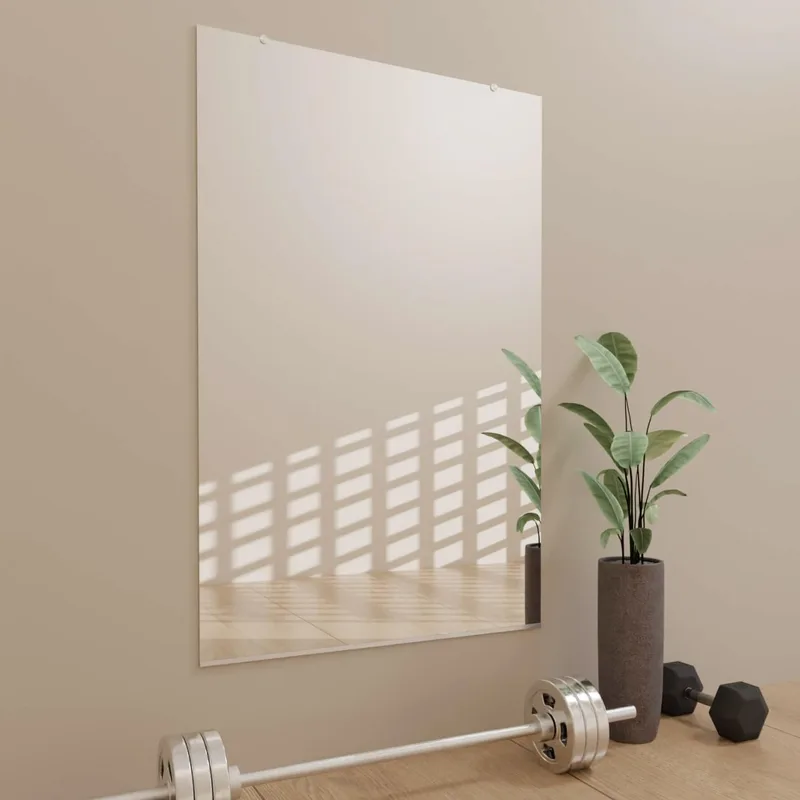 Best Home Gym Mirrors in 2026