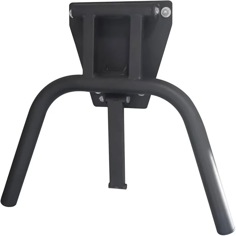 Fringe Sport Wall Mounted Dip Bar