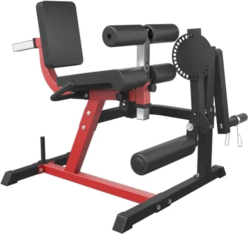 GMWD Leg Extension and Curl Machine
