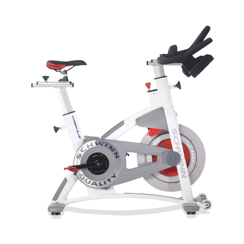 Schwinn AC Performance Plus