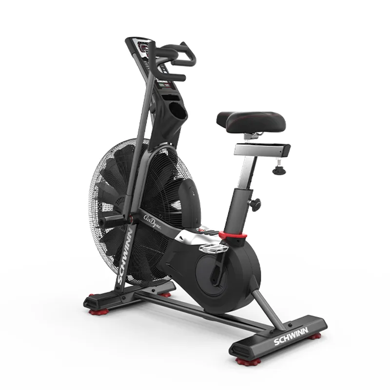 Schwinn Airdyne AD7